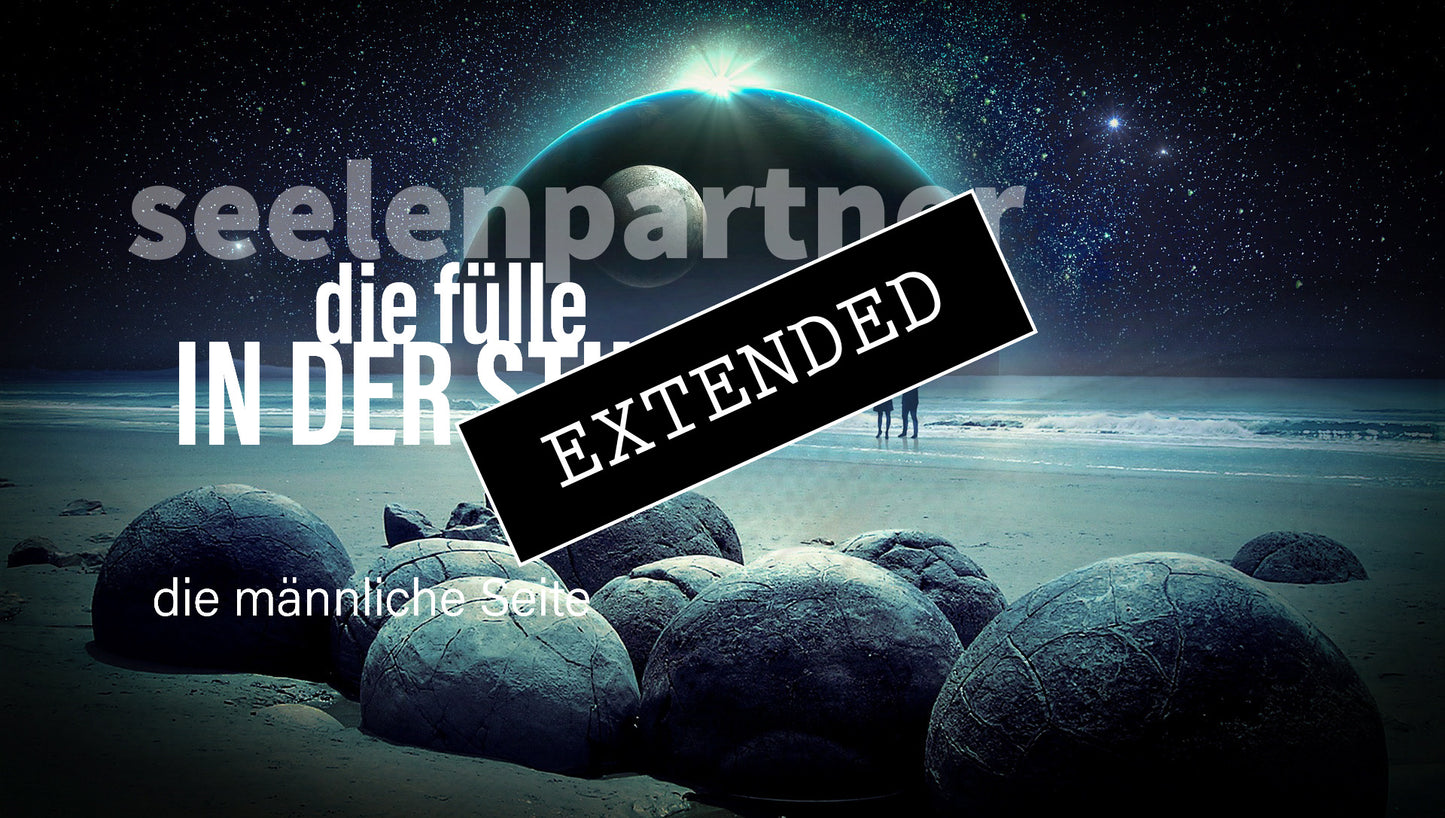 Seelenpartner | männliche Seite extended: Klarheit siegt💖