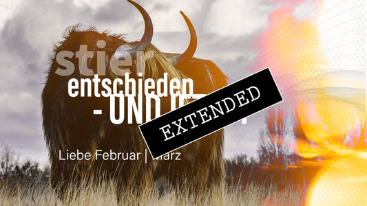 Stier Liebe Februar | März extended: Neue Wege💗💓