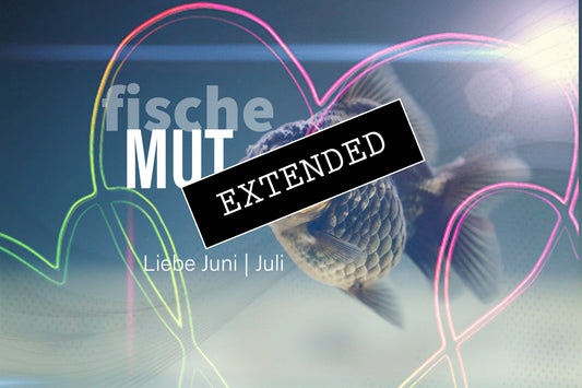 Fische Liebe Juni | Juli extended: Nur in mir❤️💖