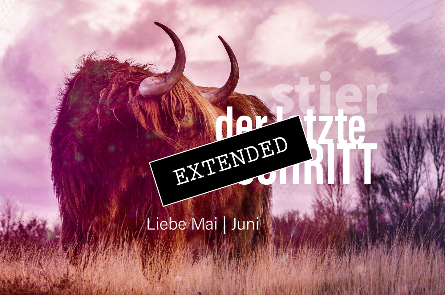 Stier Liebe Mai | Juni extended: In Liebe zu mir❤️