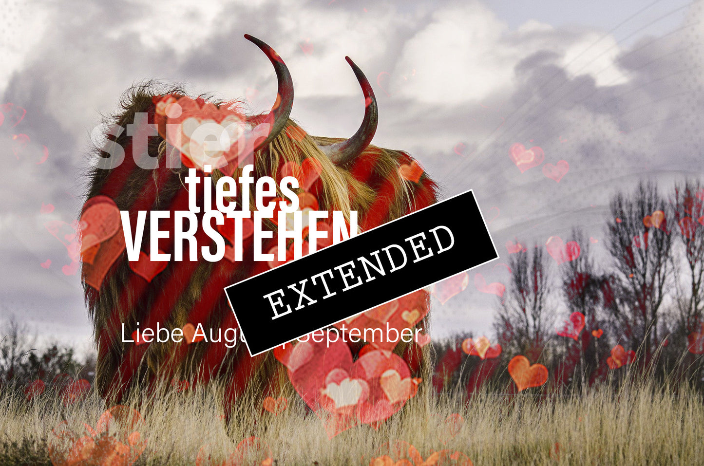 Stier Liebe August | September extended: Ich bin da❤️💞