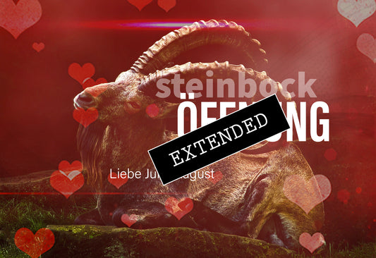 Steinbock Liebe Juli | August extended: Landung❤️