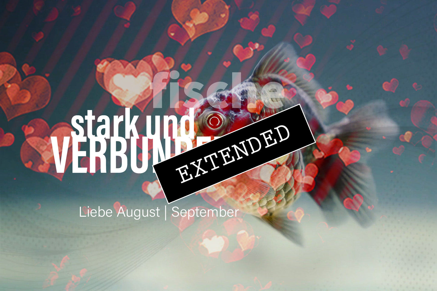 Fische Liebe August | September extended: Berührt❤️