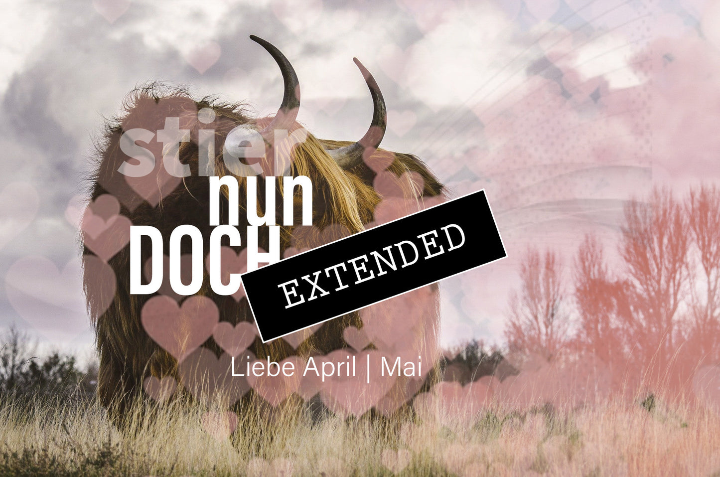 Stier Liebe April | Mai extended: Lieben können…❤️‍🔥💞