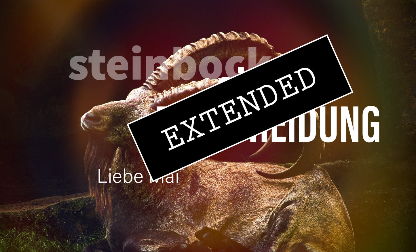 Steinbock Liebe Mai extended: Mein Weg in die Klarheit💗💖