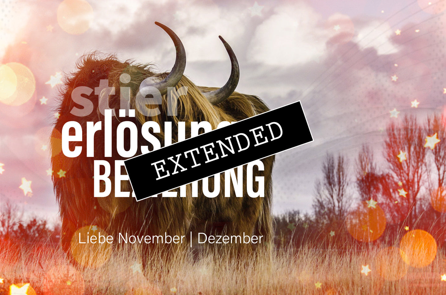 Stier Liebe November | Dezember extended: Eigener Wert💝💖