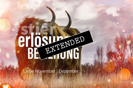 Stier Liebe November | Dezember extended: Eigener Wert💝💖