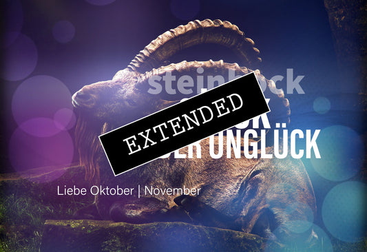 Steinbock Liebe Oktober | November extended: Akzeptanz❣️💖