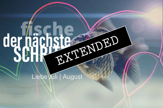 Fische Liebe Juli | August extended: Befreiung aus dem Netz💓💖