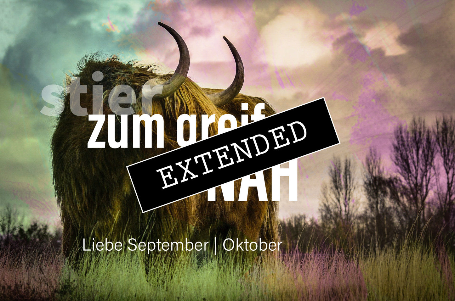 Stier Liebe September | Oktober extended: Erfüllung❤️❤️