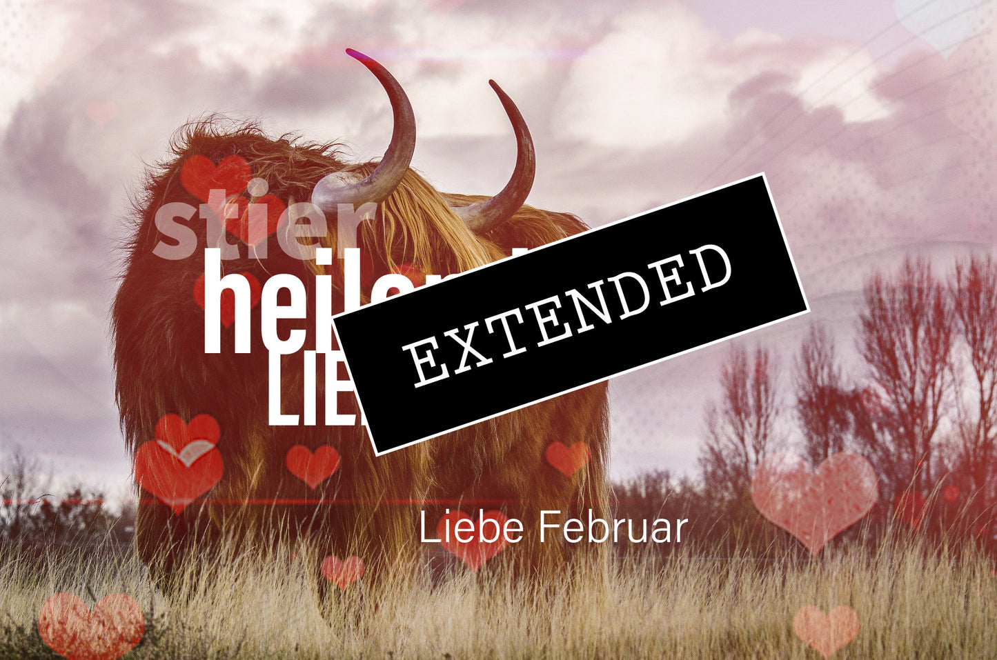 Liebe Stier Februar extended: „Ich habe mich geändert…“💗💖