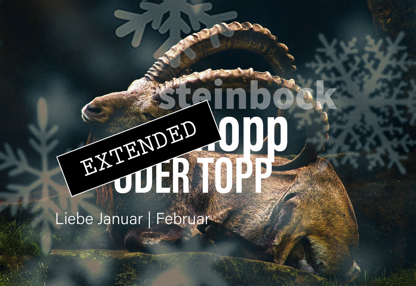 Steinbock Liebe Januar | Februar extended: Der Weg💓💖