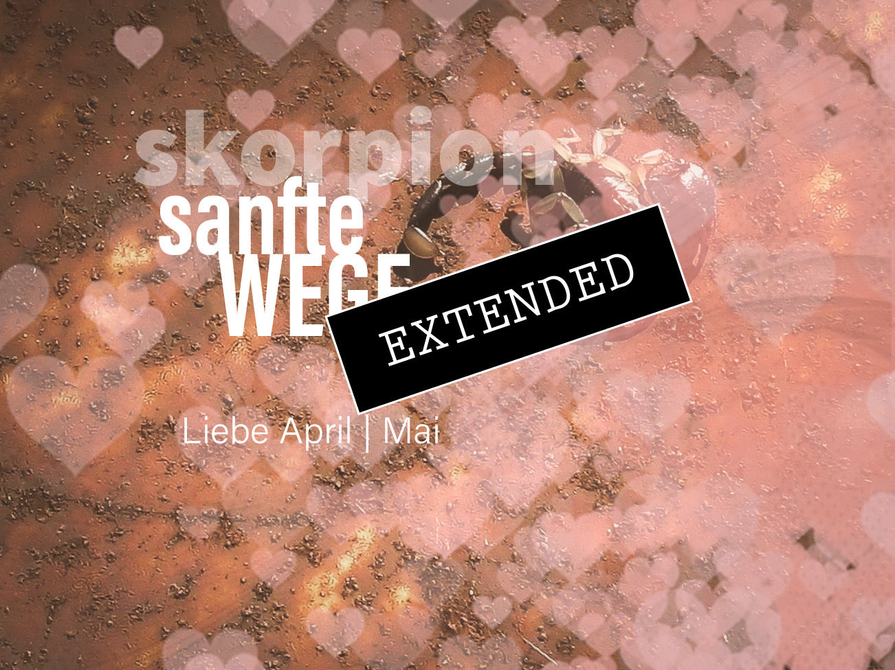 Skorpion Liebe April | Mai extended: Wegen uns…💖💗