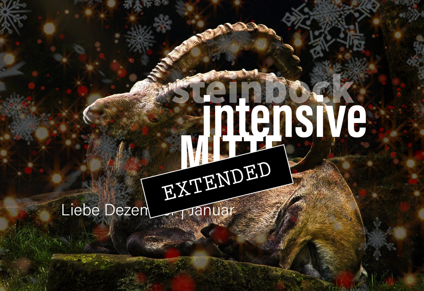 Steinbock Liebe Dezember | Januar extended: Integer❣️💓