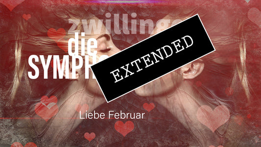 Liebe Zwillinge Februar extended: Festgelegt❤️💫