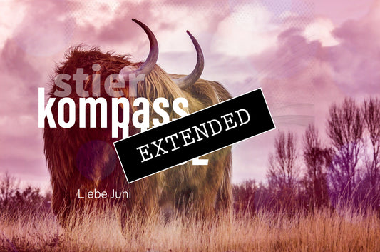 Stier Liebe Juni extended: Für die Liebe❤️