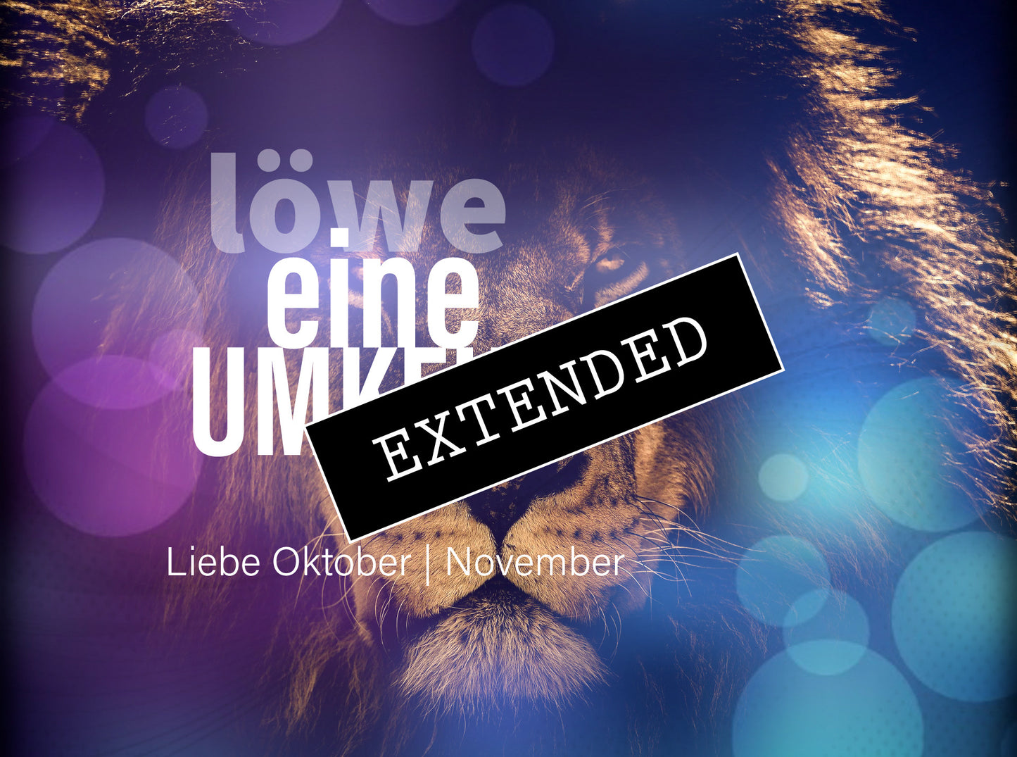 Löwe Liebe Oktober | November extended: Aktion❤️💖