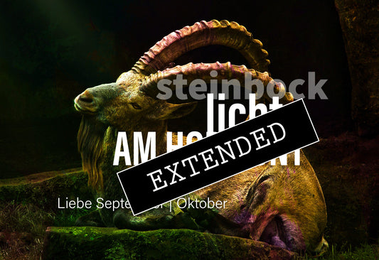 Steinbock Liebe September | Oktober extended: Entscheidung für die Fülle❤️❤️