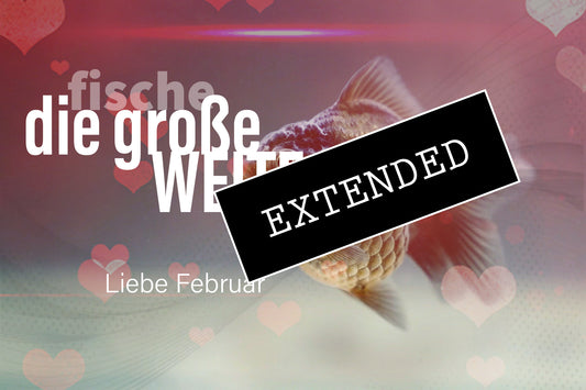 Liebe Fische Februar extended: Ohne dich im Niemandsland…💔