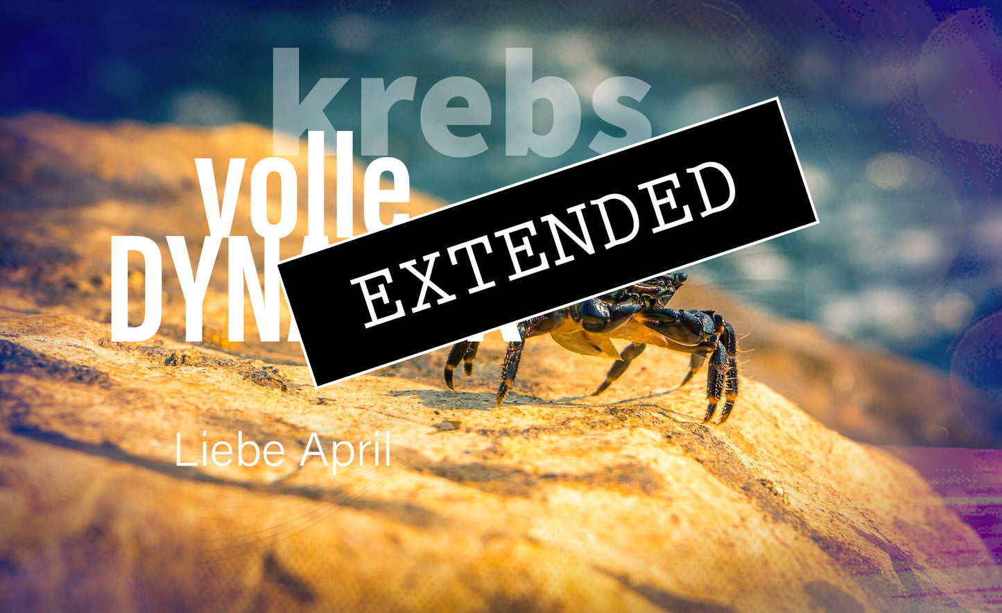 Krebs Liebe April extended: Standing für euch 💪💞