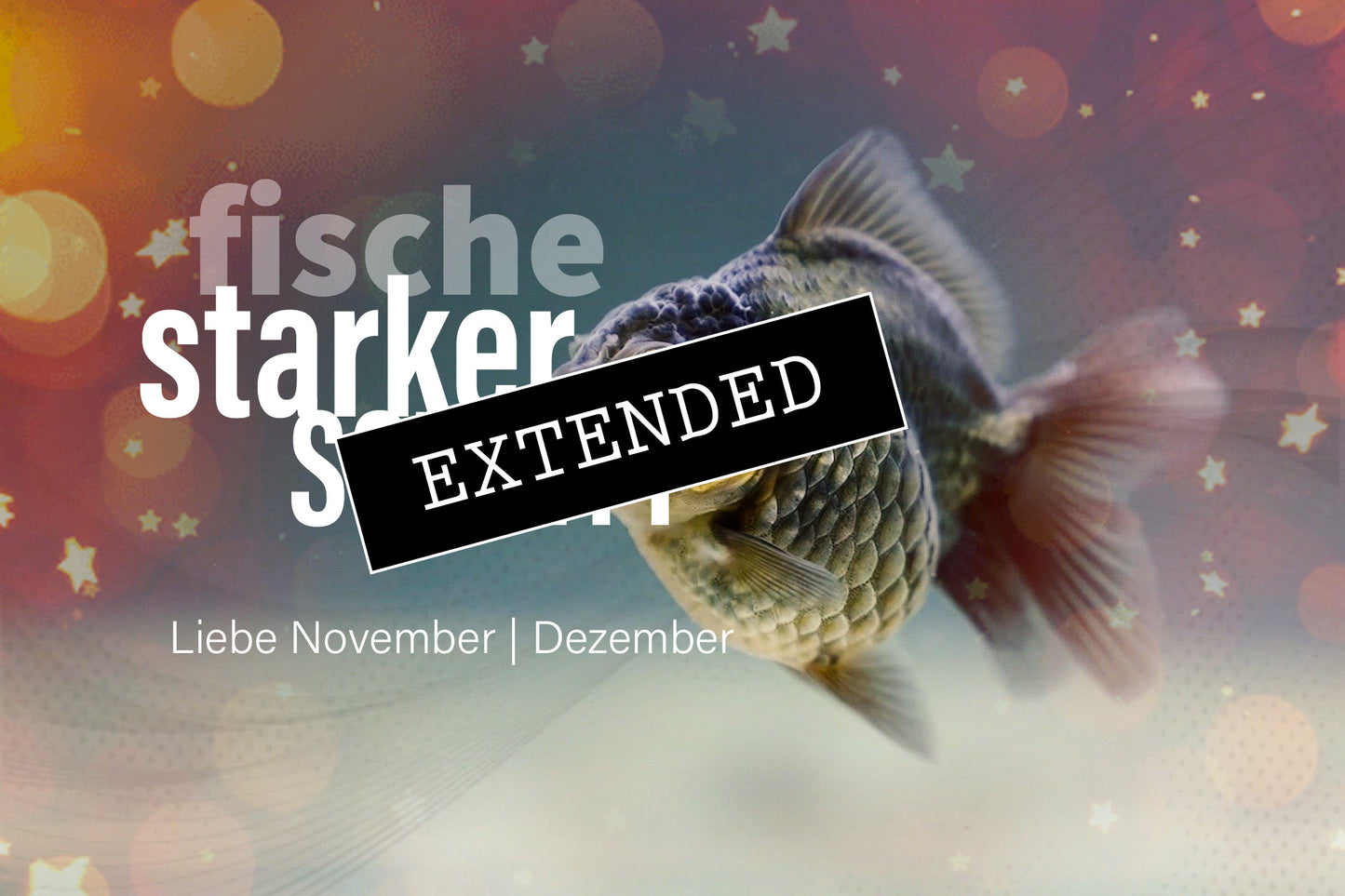 Fische Liebe November | Dezember extended: Akzeptiertes Glück💝💖