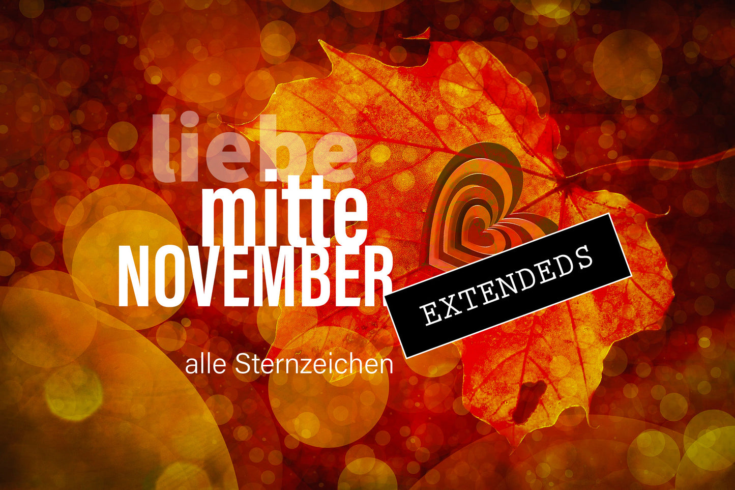 Liebe Mitte November | Extendeds💝