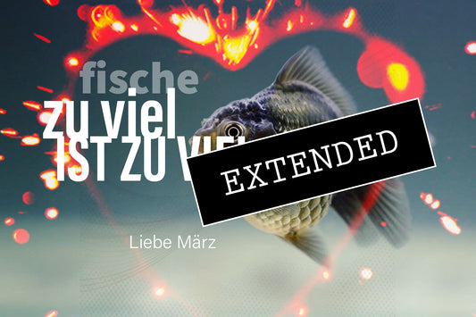 Fische Liebe März extended: Ein bewusstes „Nein“💪❤️