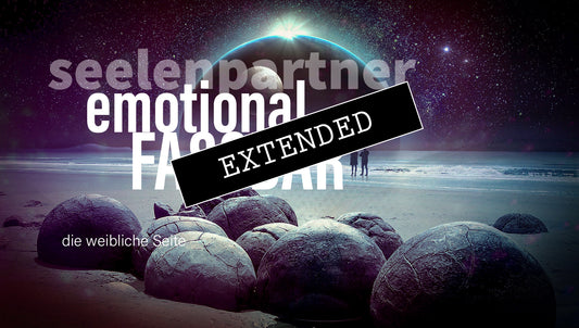 Seelenpartner | weibliche Seite extended: Verdichtung❤️💞