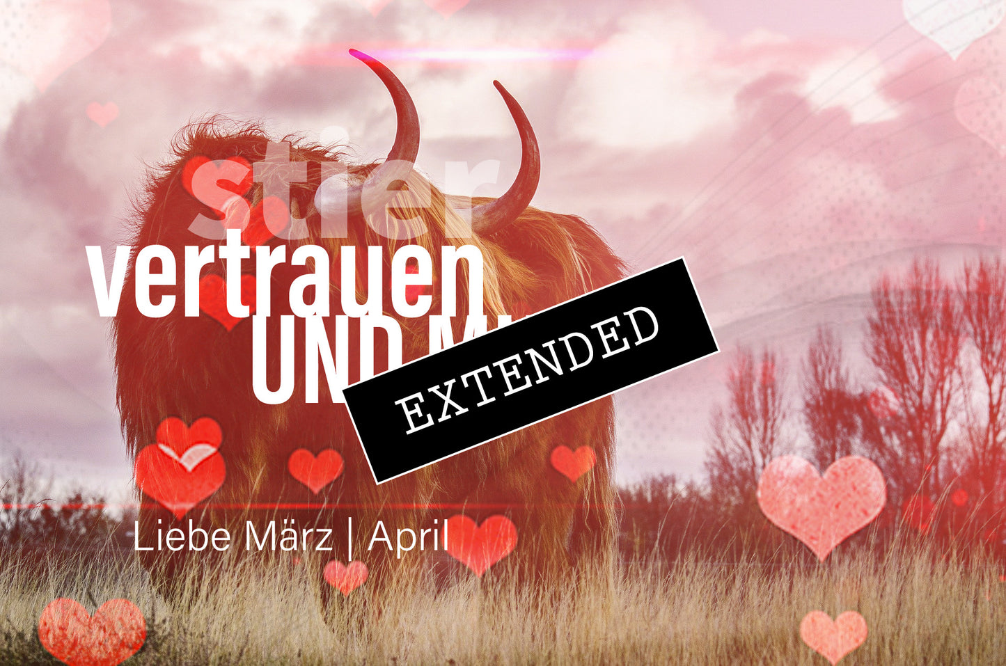 Stier Liebe März | April extended: Erfüllt❤️✨