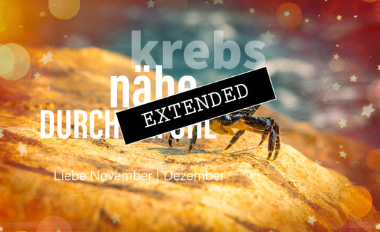 Krebs Liebe November | Dezember extended: Wieder aufgestanden❤️‍🩹❤️‍🔥